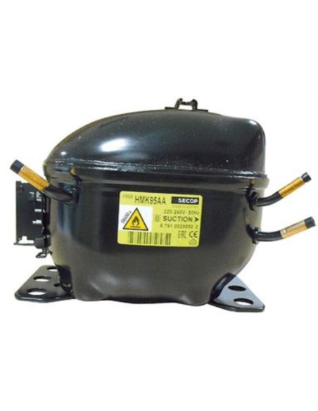 Motor Compresor 1/5 R600 FR1104603