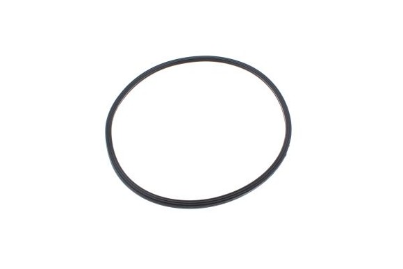 Junta camara combustion Myto condens Inox