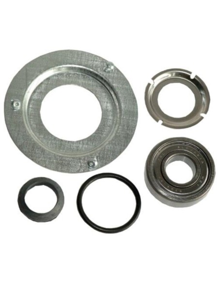 Kit cojinete lado polea