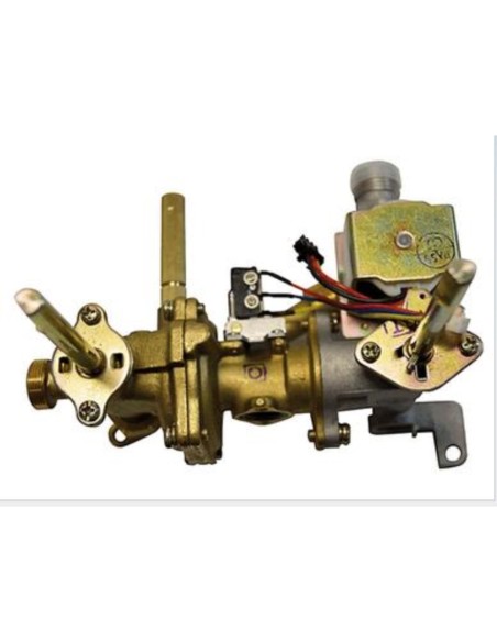 Cuerpo agua gas EB10 GN  (ver 55398190)