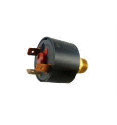 Presostato seguridad ceme 1/4 0.2-6 bar 5412