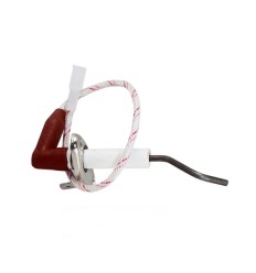 Sonda de ionizacion MTS Ariston genus class