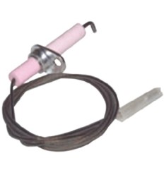 Sonda de ionizacion Chaffoteaux niagara compuesta