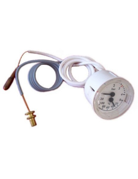 Termohidrometro caldera Ariston Microtec h microge