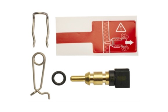 Sonda de temperatura seguridad Junkers c/cepo orig