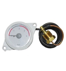 Manometro caldera Renova habitat plus