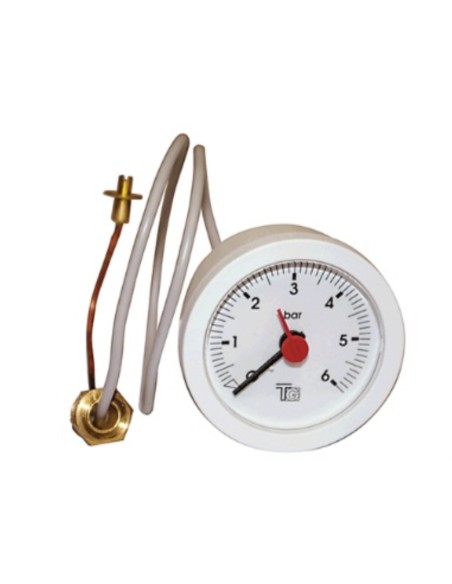 Manometro caldera Ferroli Domina 0-6bar 52mroscado