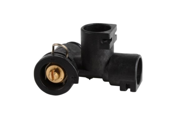 Cuerpo grifo Chaffoteaux calydra