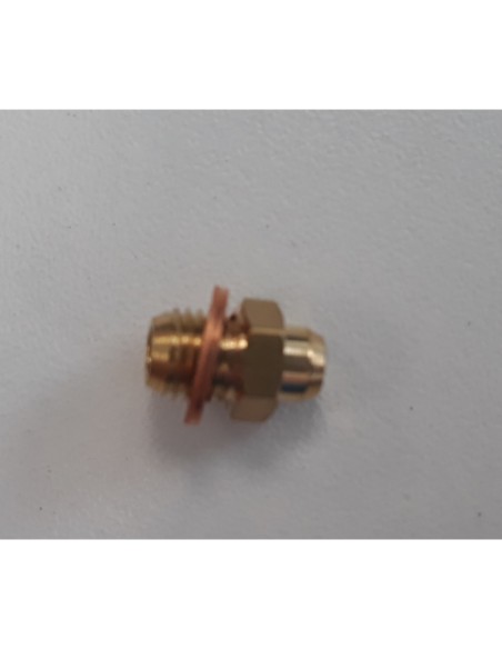 Inyector M10x1 d:1,45