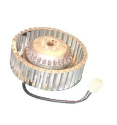 Motor secadora Candy giro derecha