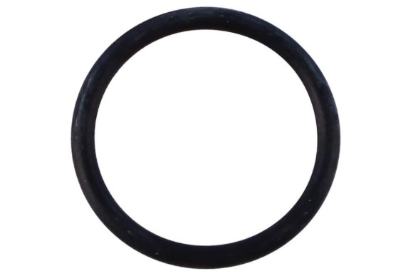 O-ring (ord.min.pz.1) 990489