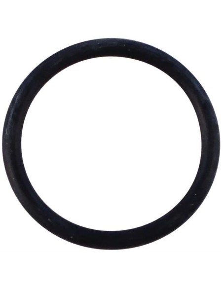 O-ring (ord.min.pz.1) 990489