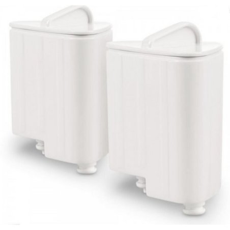 Filtro antical Rowenta pequeño h:7cm 2 uds
