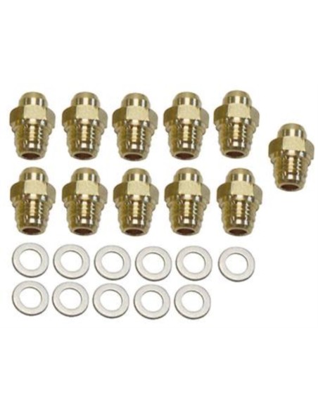 Inyectores d1.35 G20 (11 uds)