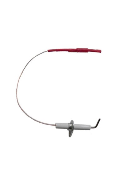 Electrodo encendido + resistencia l.22