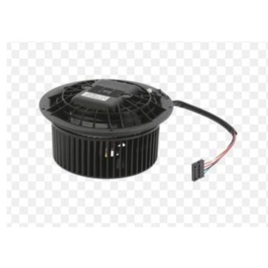 Motor campana izquierdo