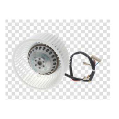 Motor derecho campana extractora Bosch DHL555B