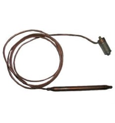 Elemento termoexpansible