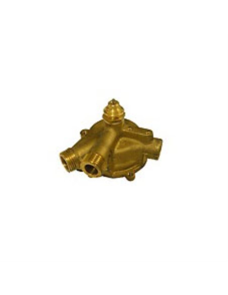 Grupo cuerpo agua IP