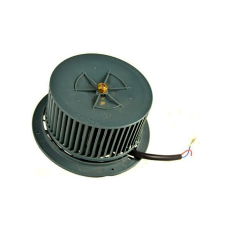 Motor derecho Cata TF5260CNodor Testa2004