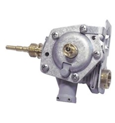 Cuerpo de agua Neckar WN13-2