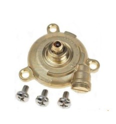 Tapa del cuerpo de agua