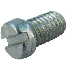 Tornillo grupo de agua