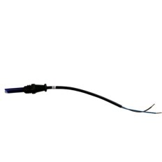 Celula Brahma fr1 lateral-frontal **VER 70241074