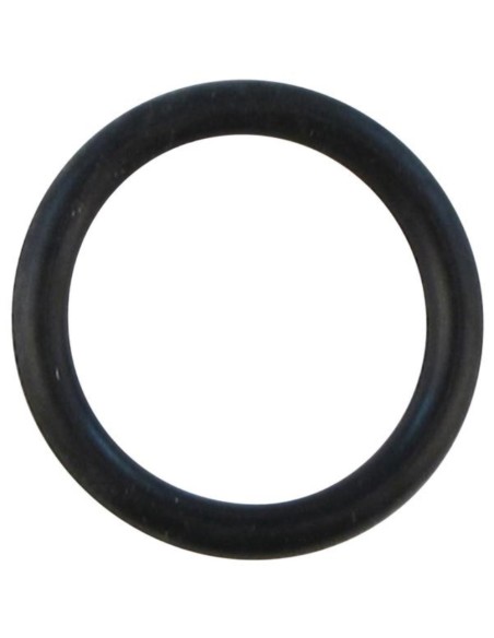 O-ring ø 17,12x2,62 varios modelos VER 511511