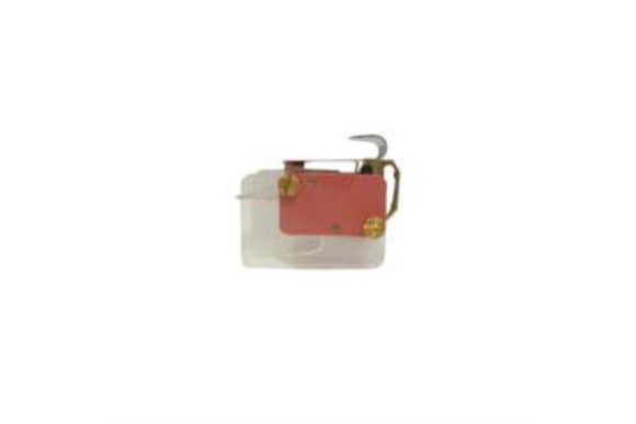Microinterruptor (grupo agua) 126213
