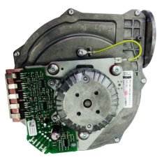 Ventilador Fersystem 50 -100