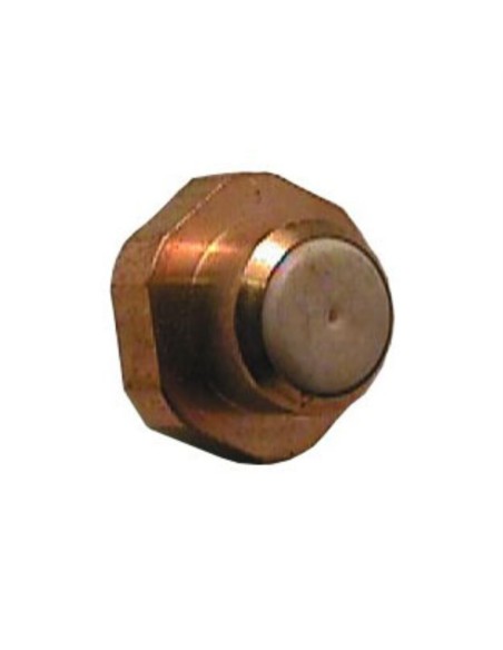 Inyector piloto - 42812