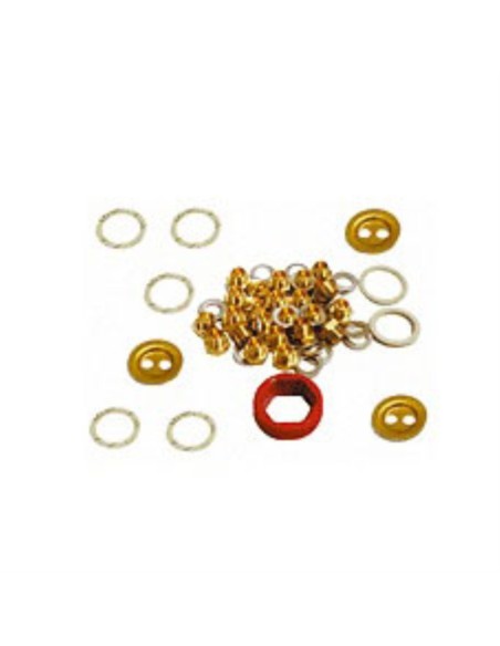 Kit transformacion GLP 222331