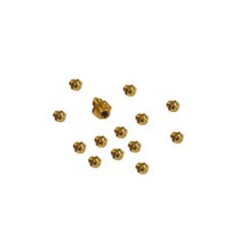 Kit transformacion natural 140315