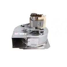 Extractor rle12