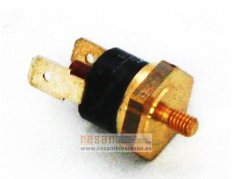 Termostato seguridad a 75ºC - 125843483