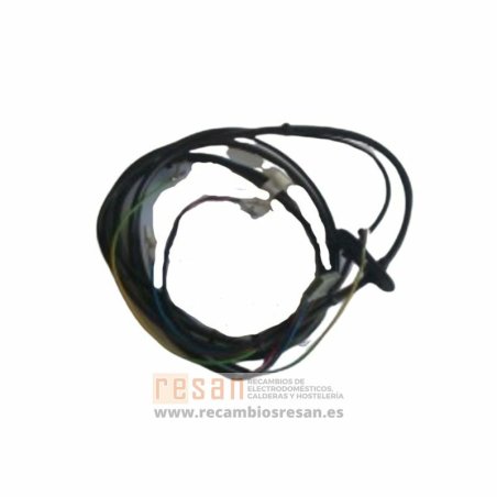 Cableado electrico combustion r10020616