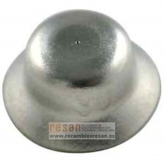 Inyector piloto (30) (10x)