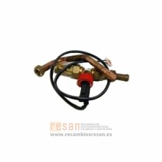 Conjunto microinterruptor 2