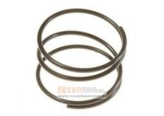 Muelle RS-RH4921
