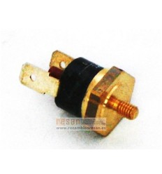 Termostato seguridad a 75ºC