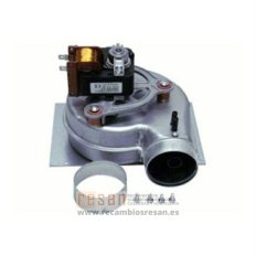 Extractor de humos Beretta (ver 77455543)