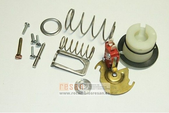 Microinterruptor 87131010560