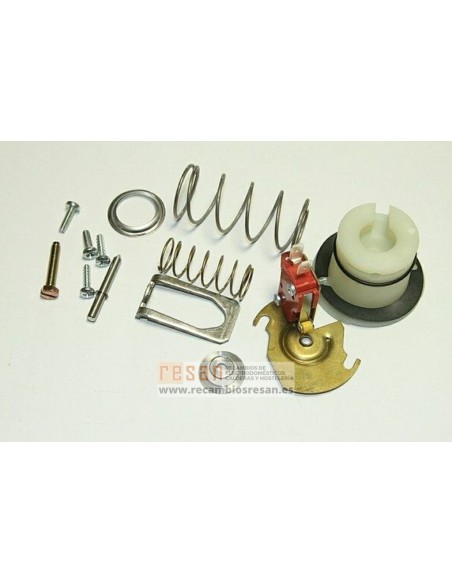 Microinterruptor 87131010560