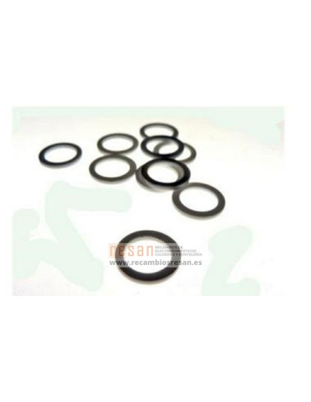 Arandela plastico CA1537100