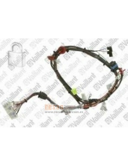 Conjunto cable 256097