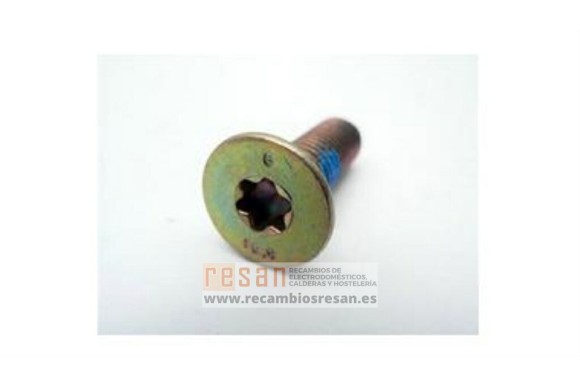 Tornillo 8x25 W13G006A1