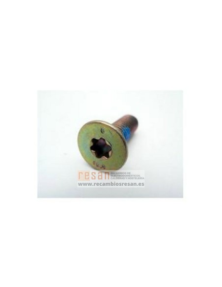 Tornillo 8x25 W13G006A1