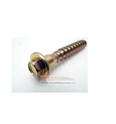 Tornillo 10x61 W13A006A5