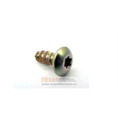 Tornillo 5x13,5 W13G004B2